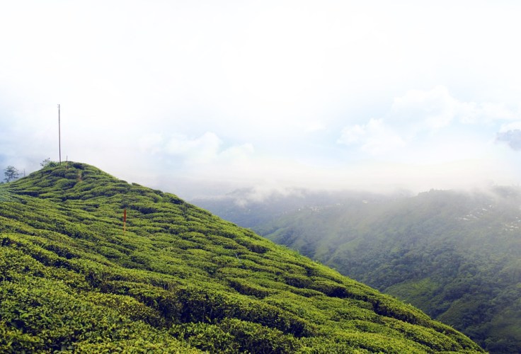 5 Nights 6 Days Darjeeling Tour Package